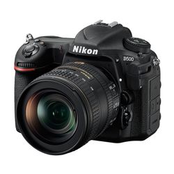 Nikon D500 16-80mm