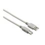 next-img