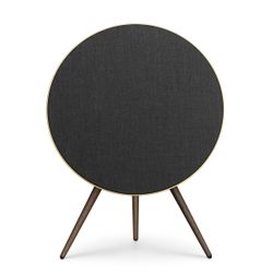 Bang & Olufsen Beoplay A9 (2nd Gen) Smoked Oak