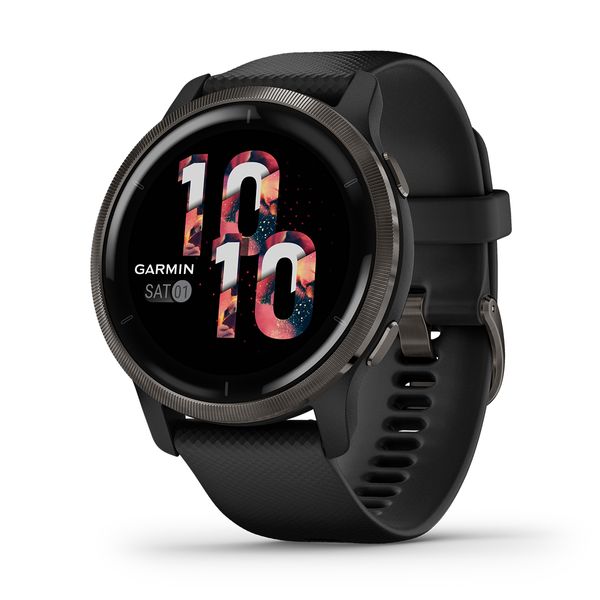 Garmin Venu 2 Slate & Black SmartWatch