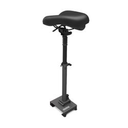 Ninebot Electric Scooter