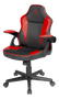 next-img