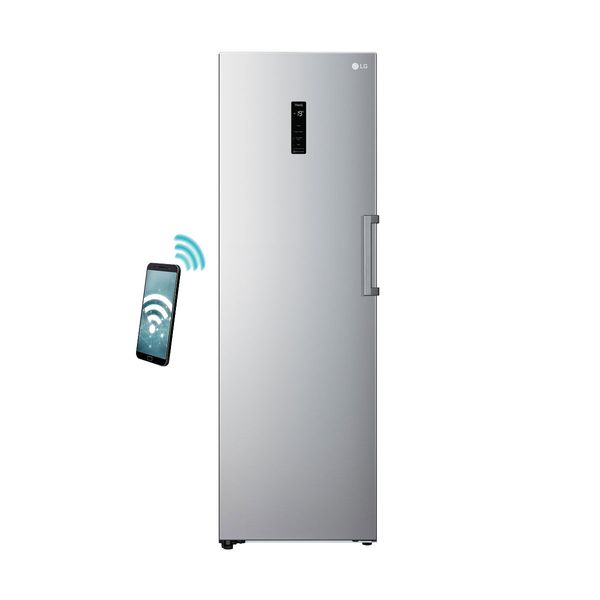 LG THOR GFE41PZGSZ Platinum Silver Καταψύκτης Κάθετος