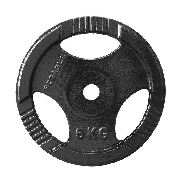 Pegasus Ελεύθερα Βάρη Δίσκος Σφυρήλατος Φ29 (5 kg)