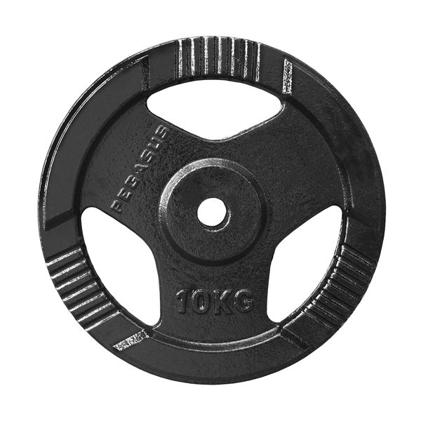 Pegasus Ελεύθερα Βάρη Δίσκος Σφυρήλατος Φ29 (10 kg)