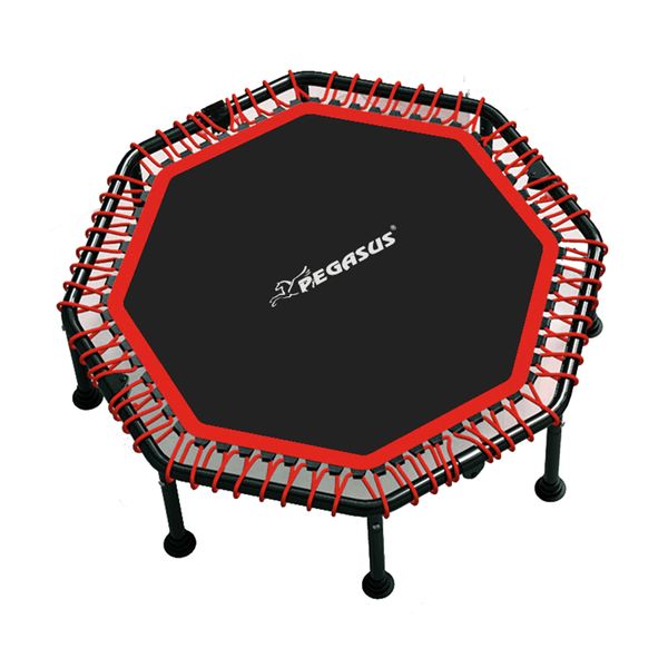 Pegasus Τραμπολίνο 48" 122 cm Τραμπολίνο
