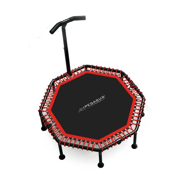 Pegasus Τραμπολίνο με Λαβή 48" (122cm)