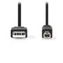 next-img