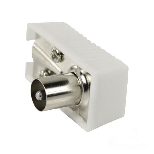 Nedis CSGP40900WT IEC (Coax) Connector Angled Male - Square Design - 2 pieces White Βύσμα