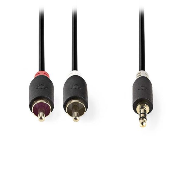Nedis CABW22200AT100 Stereo Audio Cable 3.5 mm Male - 2x RCA Male 10 m Anthracite Καλώδιο Ήχου