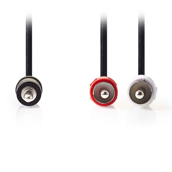 Nedis CAGP22200BK50 Stereo Audio Cable 3.5mm Male-2xRCA Male 5.0m Black Καλώδιο