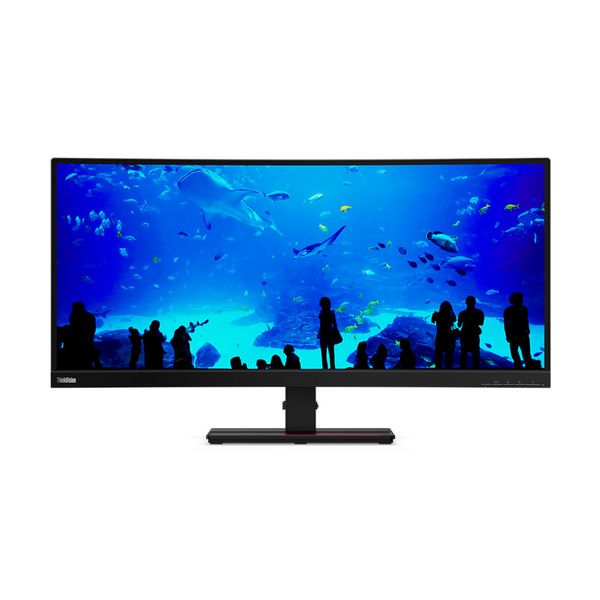 Lenovo Lenovo ThinkVision T34w-20 34'' Curved Monitor