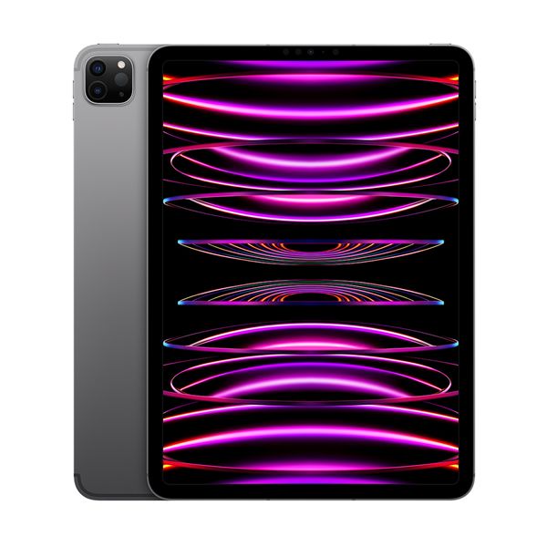 Apple Apple iPad Pro 11" 2022 512GB Cellular Space Grey Tablet