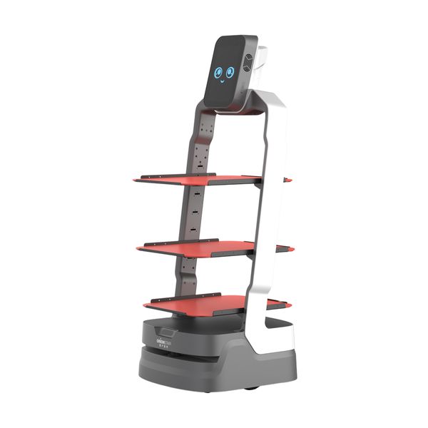 RoboQ Lucki AI Delivery Robot