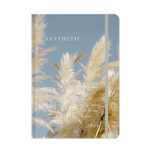 adBook adBook Aesthetic Β 12x17 2024 Pampas Ημερολόγιο