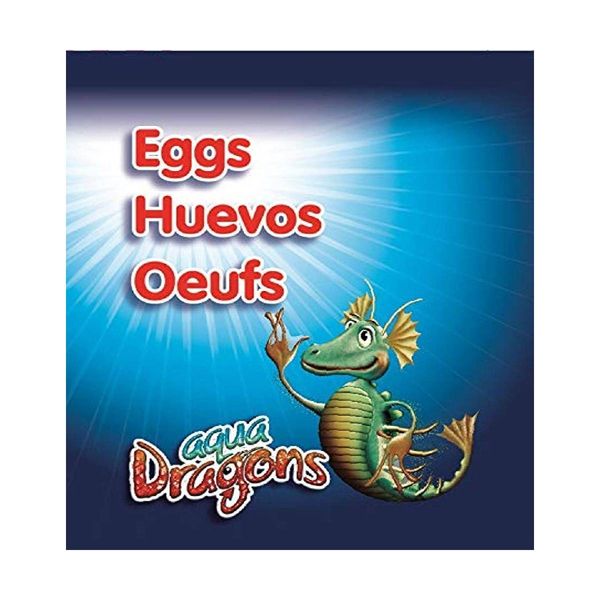 Aqua Dragons Αυγά (01ADEG) Παιχνίδι