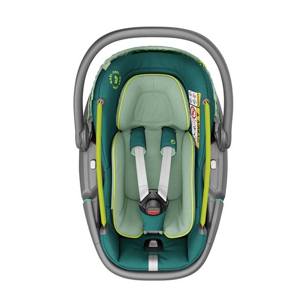 Maxi Cosi Παιδικό Κάθισμα Αυτοκινήτου Coral Neo Green
