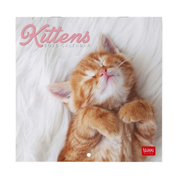 Legami Ημερολόγιο Τοίχου 2025 18x18cm Kittens
