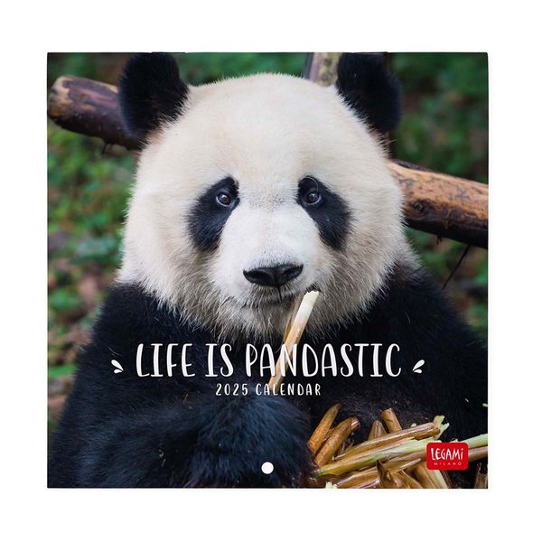Legami Ημερολόγιο Τοίχου 2025 18x18cm Life Is Pantastic