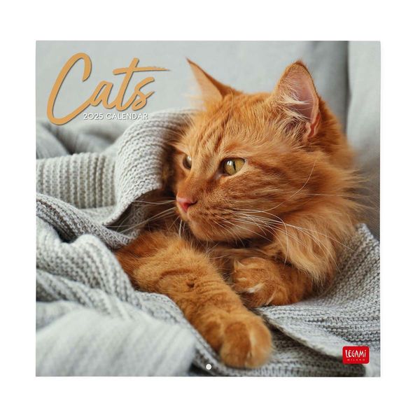 Legami Ημερολόγιο Τοίχου 2025 30x29cm Cats