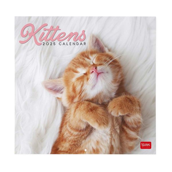 Legami Ημερολόγιο Τοίχου 2025 30x29cm Kittens