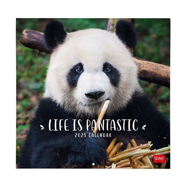 Legami Ημερολόγιο Τοίχου 2025 30x29cm Life Is Pantastic