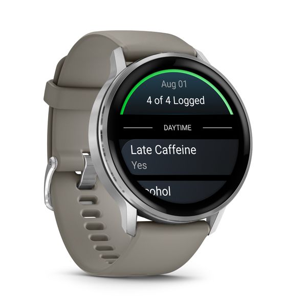 Garmin Venu 4 45mm Silver & Gray SmartWatch