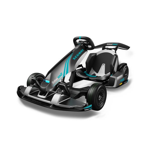 Segway Ninebot PRO 2 GoKart