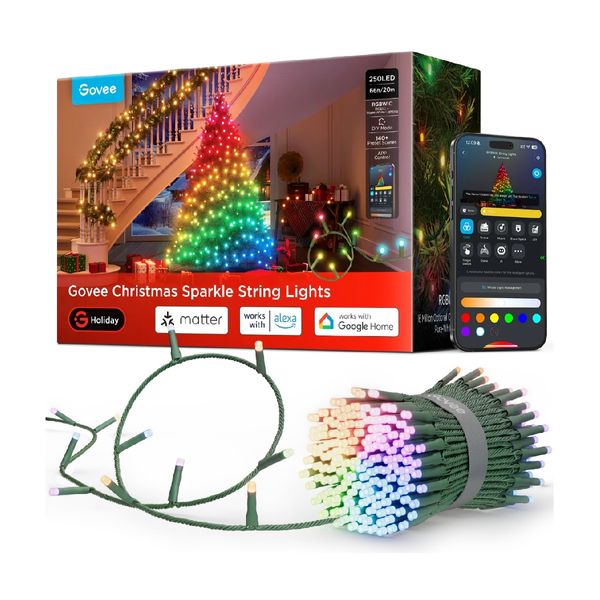 Govee Christmas String Lights - 20M Smart Home