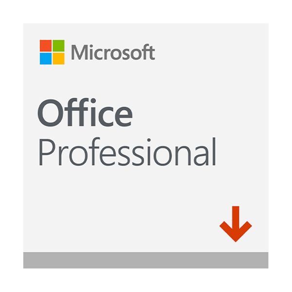 Microsoft Office 2019 Professional 1 PC
